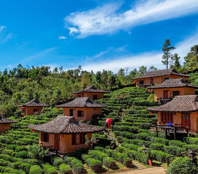 A serene view of tea houses nestled among lush green tea bushes, showcasing a tranquil landscape, representing Affordable Housing Southeast Asia.